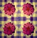 001 Flowers Others - 3 ply